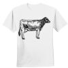 Nano T® Cotton T Shirt Thumbnail