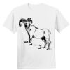 Nano T® Cotton T Shirt Thumbnail