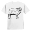 Nano T® Cotton T Shirt Thumbnail