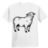 Nano T® Cotton T Shirt Thumbnail