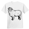 Nano T® Cotton T Shirt Thumbnail