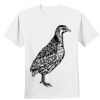 Nano T® Cotton T Shirt Thumbnail