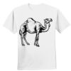 Nano T® Cotton T Shirt Thumbnail