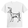 Nano T® Cotton T Shirt Thumbnail