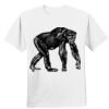 Nano T® Cotton T Shirt Thumbnail