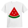 Nano T® Cotton T Shirt Thumbnail