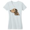 Juniors Concert V Neck Tee Thumbnail