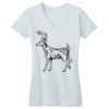 Juniors Concert V Neck Tee Thumbnail