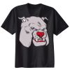 Ladies Nano T® Cotton T Shirt Thumbnail