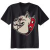 Ladies Nano T® Cotton T Shirt Thumbnail