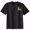 Ladies Nano T® Cotton T Shirt Thumbnail