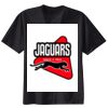 Ladies Nano T® Cotton T Shirt Thumbnail