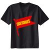 Ladies Nano T® Cotton T Shirt Thumbnail