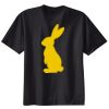 Ladies Nano T® Cotton T Shirt Thumbnail