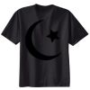 Ladies Nano T® Cotton T Shirt Thumbnail