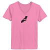 Ladies ComfortSoft® V Neck T Shirt Thumbnail