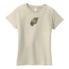 Ladies Organic Cotton T Shirt Thumbnail