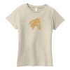 Ladies Organic Cotton T Shirt Thumbnail