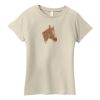 Ladies Organic Cotton T Shirt Thumbnail