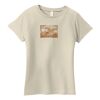 Ladies Organic Cotton T Shirt Thumbnail