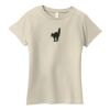 Ladies Organic Cotton T Shirt Thumbnail