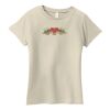 Ladies Organic Cotton T Shirt Thumbnail