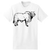 Beefy T® Born To Be Worn 100% Cotton T Shirt Thumbnail