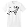 Beefy T® Born To Be Worn 100% Cotton T Shirt Thumbnail