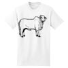 Beefy T® Born To Be Worn 100% Cotton T Shirt Thumbnail