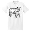 Beefy T® Born To Be Worn 100% Cotton T Shirt Thumbnail