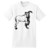 Beefy T® Born To Be Worn 100% Cotton T Shirt Thumbnail