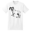 Beefy T® Born To Be Worn 100% Cotton T Shirt Thumbnail