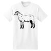 Beefy T® Born To Be Worn 100% Cotton T Shirt Thumbnail