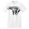 Beefy T® Born To Be Worn 100% Cotton T Shirt Thumbnail